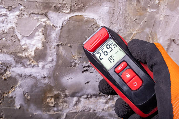 Best Health and Safety Mold Remediation in East Riverdale, MD